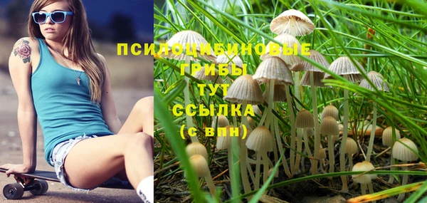 винт Наволоки