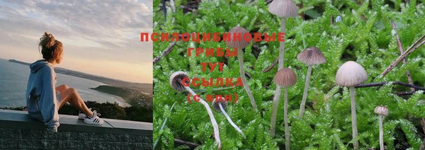 MESCALINE Надым